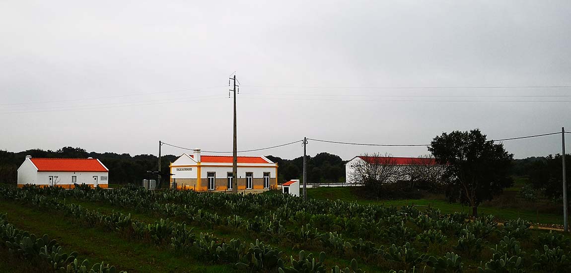 Pepe Aromas Foto 3