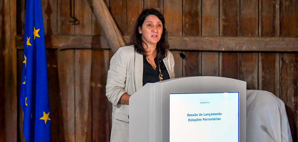 Seis estações ferroviárias vão a concurso no Revive Natureza