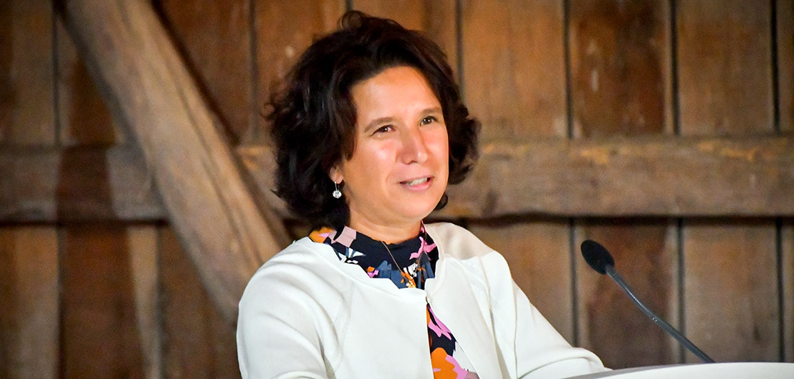 Seis estações ferroviárias vão a concurso no Revive Natureza