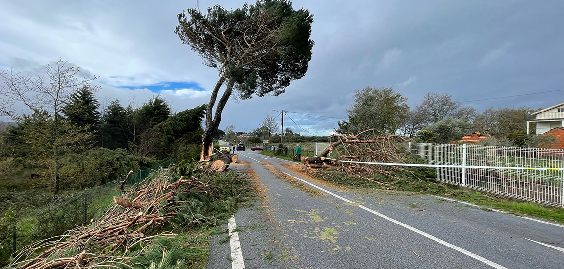 Imagem - Condicionamento rede rodoviária