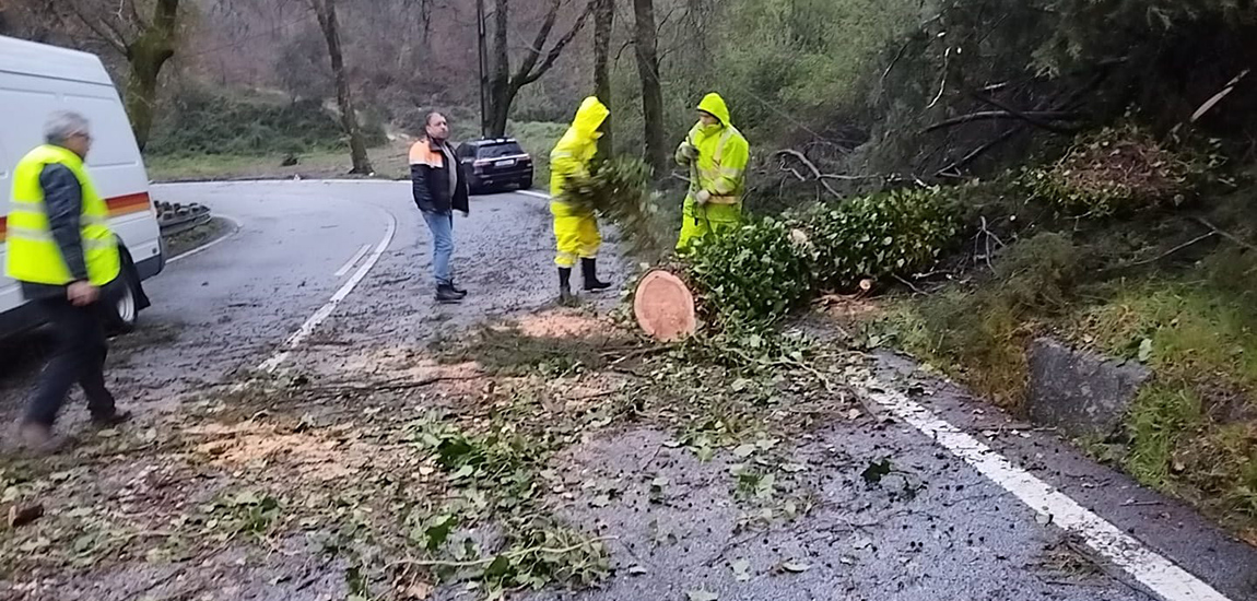 Imagem - Equipa IP a trabalhar para repor condições de circulação em estrada