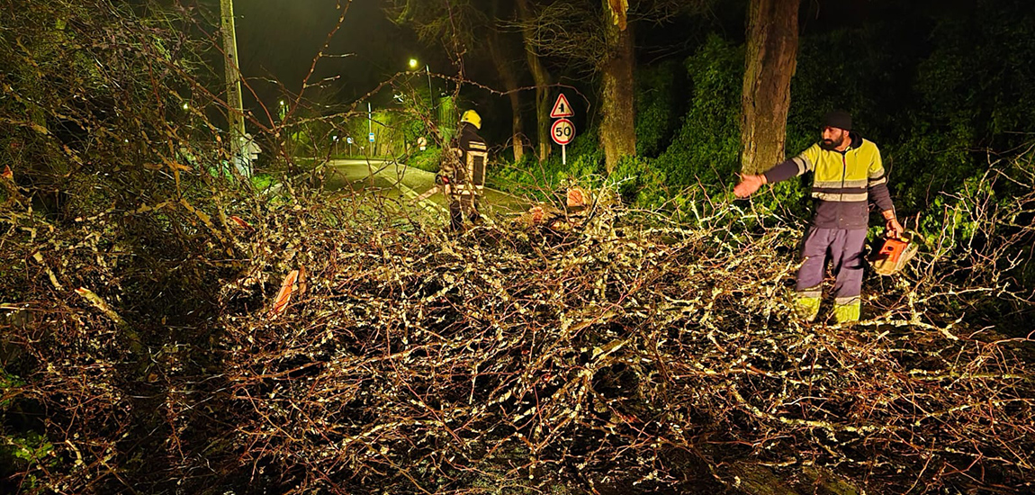 Imagem - Equipa IP a trabalhar para repor condições de circulação em estrada