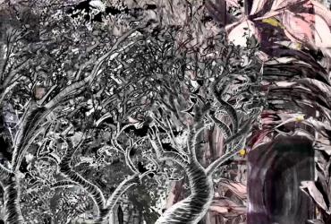 Exposição "I'll See You in the Trees" 2