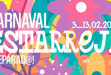 Fotografia 1 - Folia e samba no Carnaval de Estarreja 