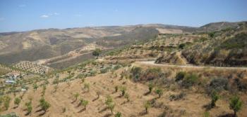 Estrada Nacional 332