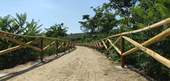 Ecopista do Tua - Novo Troço de 13 kms: fotografia 1